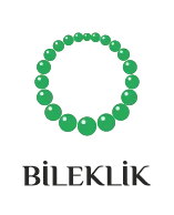 Bileklik Bijuteri